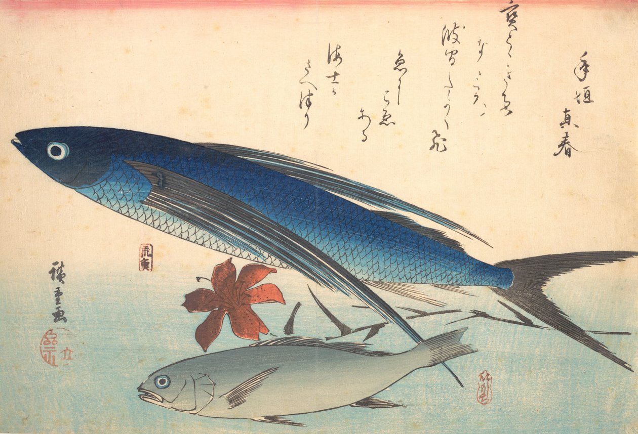 Tobiuo ja Ishimochi Fish, sarjasta Uozukushi Every Variety of Fish, 1840s., 1840s. tekijältä Ando Hiroshige