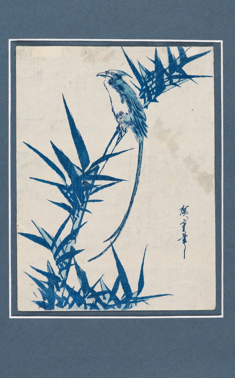 Ukiyo-e print - Lintu oksalla sinisellä, c1820-1858 tekijältä Ando Hiroshige