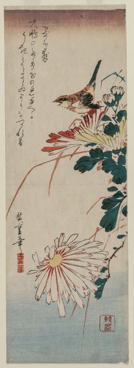 Warbler ja krysanteemit, 1830-luvun puoliväli. tekijältä Ando Hiroshige
