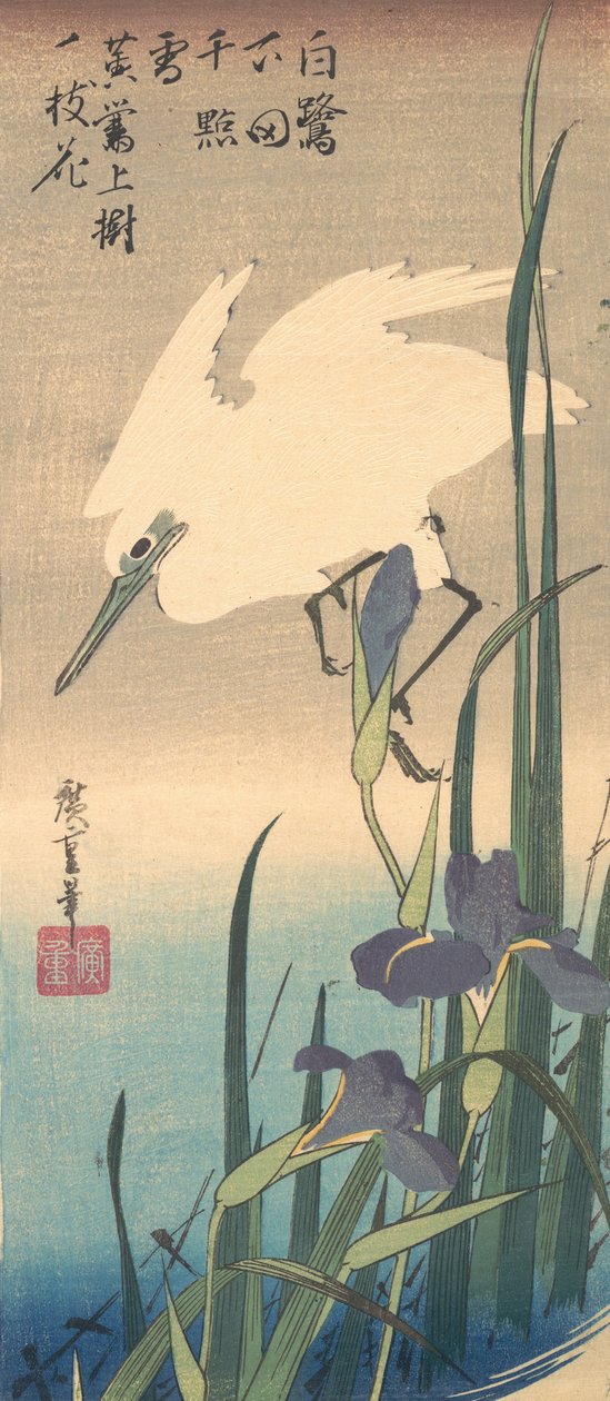 White Heron ja Iris. tekijältä Ando Hiroshige