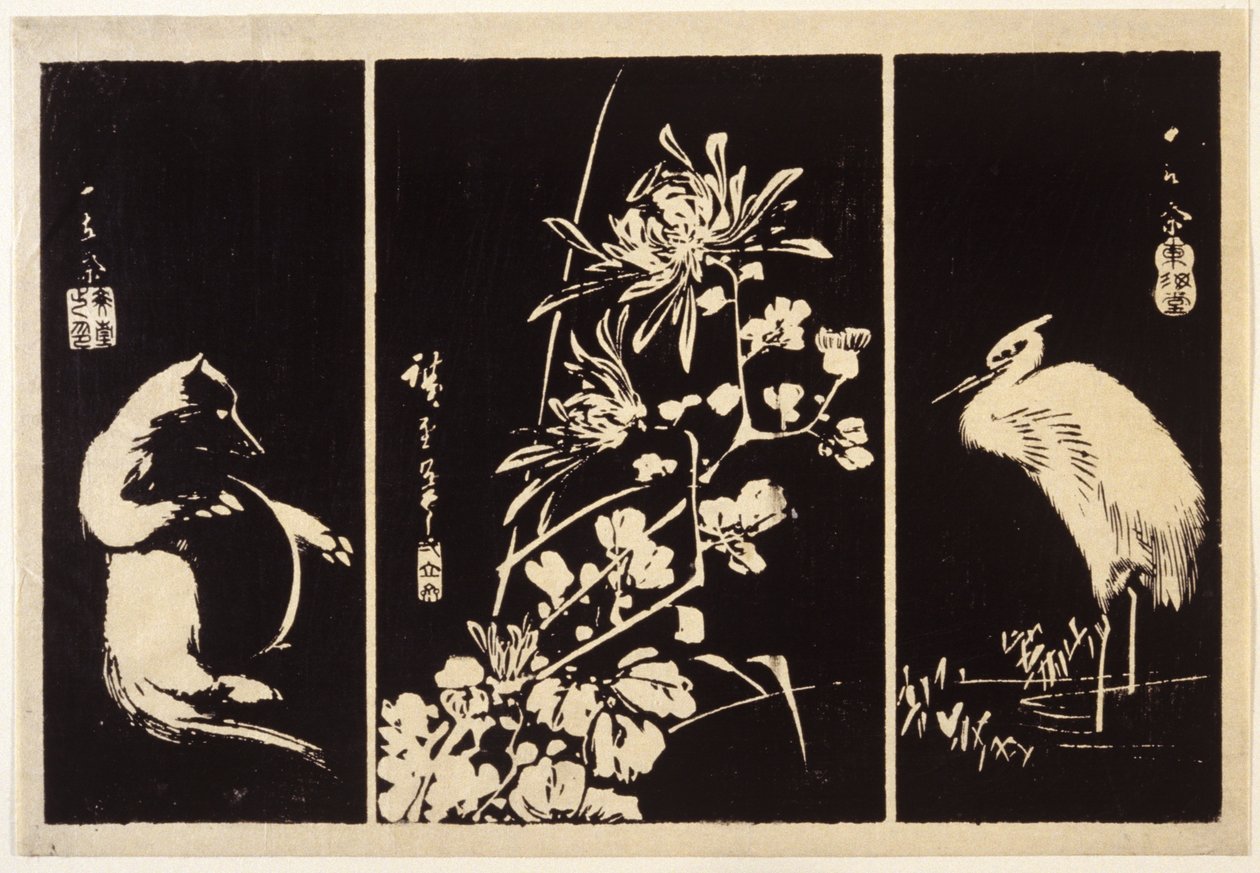 Mäyrä, Krysanteemit ja Kurkku tekijältä Ando or Utagawa Hiroshige