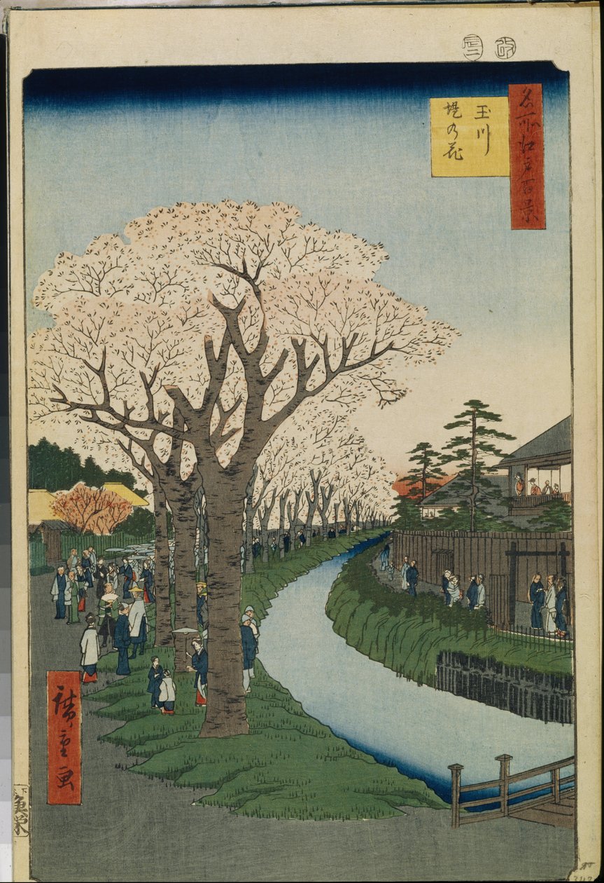 Cent vues celebres d"Edo: Kirsikankukkia Tama-joen rannalla tekijältä Ando or Utagawa Hiroshige