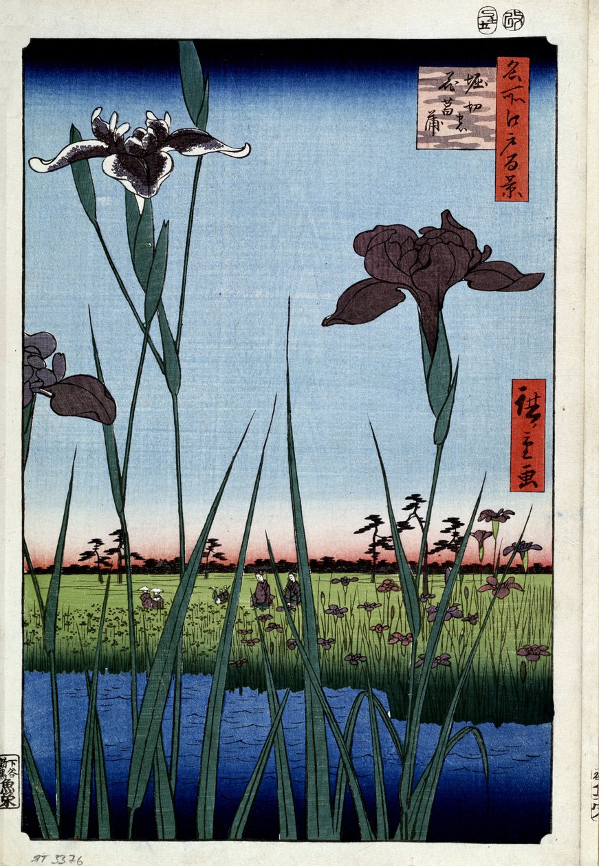 a""Edon satoja kuuluisia näkymiä"" : ""Iris Horikirille" (Irises at Horikiri (Sata kuuluisaa näkymää Edoon) Utagawa Hiroshigen (1797-1858) japanilainen vedos 1856-1858 Pietarin Eremitaaši tekijältä Ando or Utagawa Hiroshige