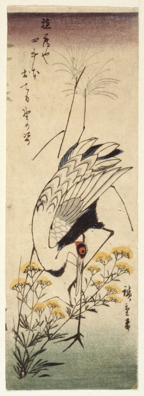 Crane with Wild Sinappi (värillinen puupainatus) tekijältä Ando or Utagawa Hiroshige