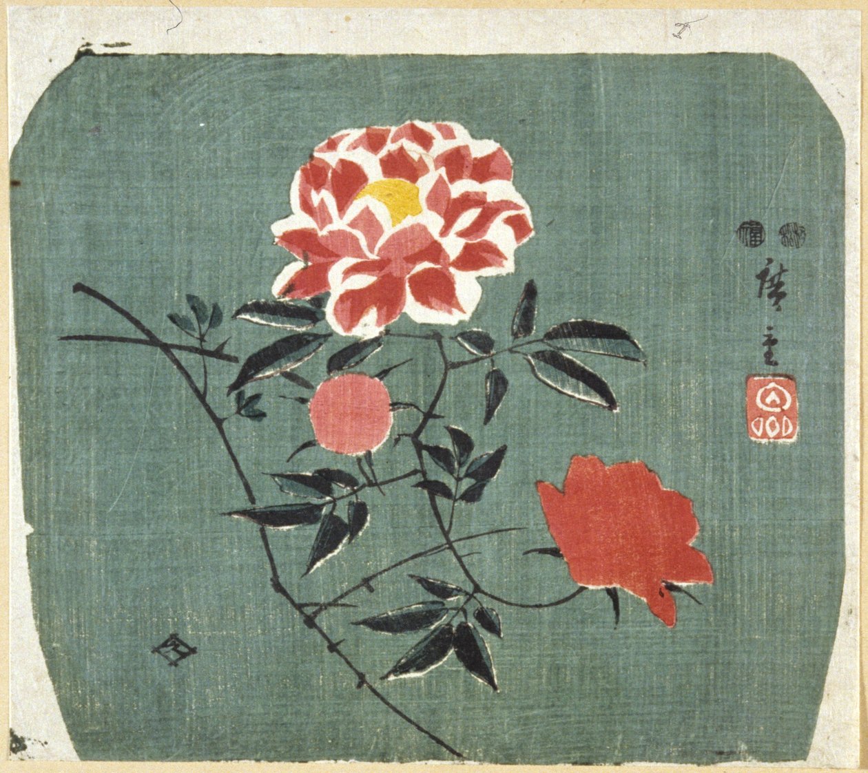 Viuhkakuvio: ruusu tekijältä Ando or Utagawa Hiroshige