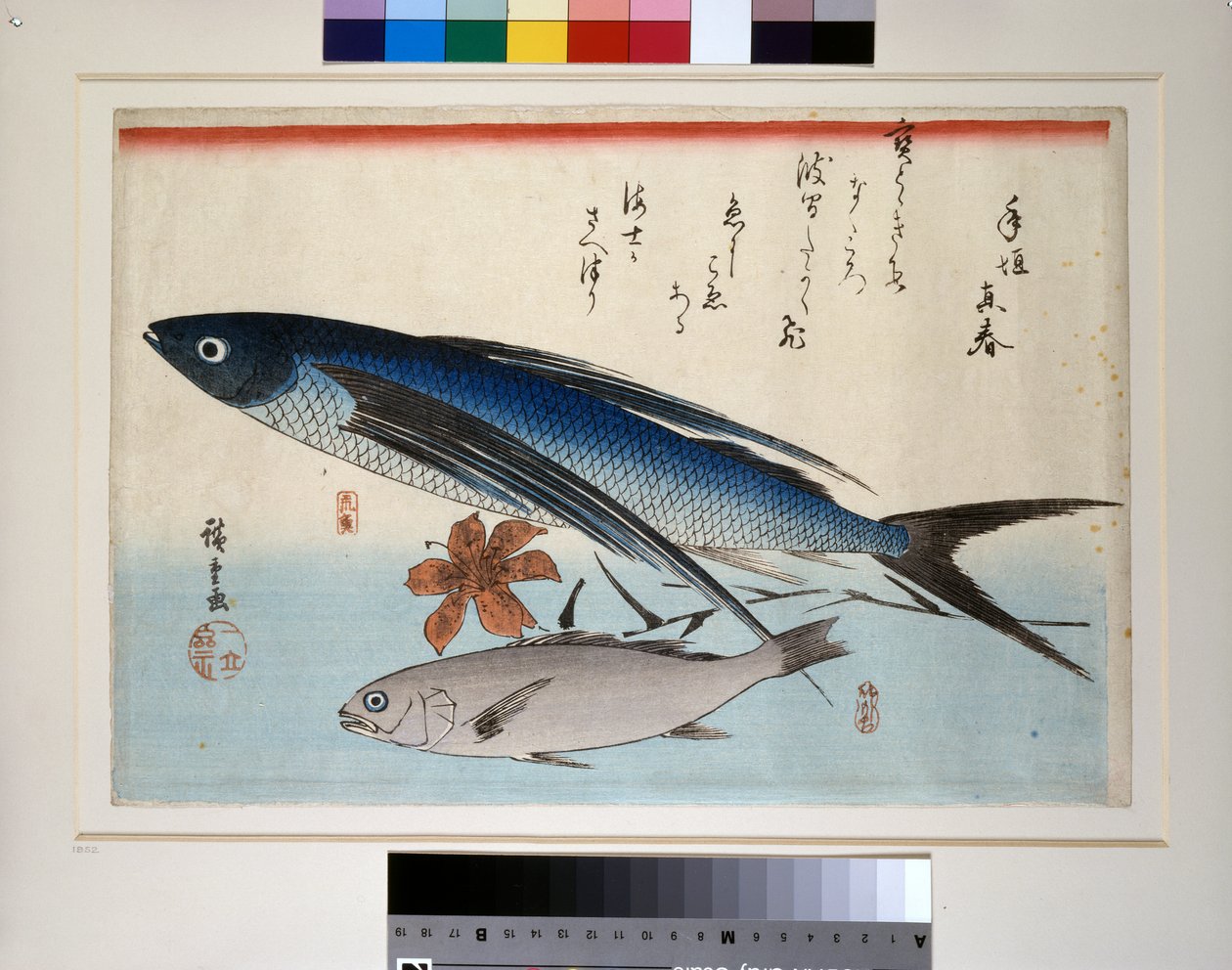Lentävät kalat, ishimochi kalat ja liljat tekijältä Ando or Utagawa Hiroshige