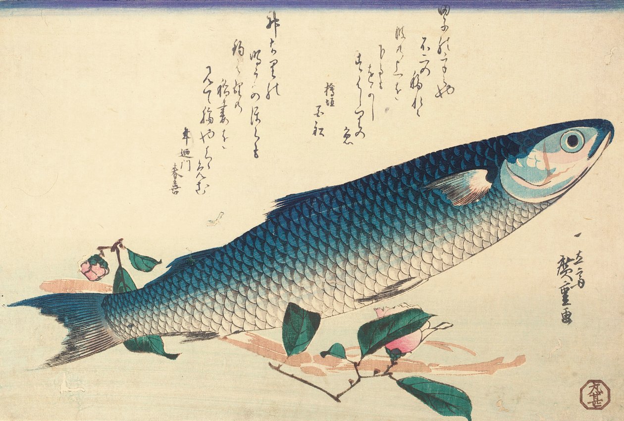 Harmaa keltti, Camellia ja Udo tekijältä Ando or Utagawa Hiroshige