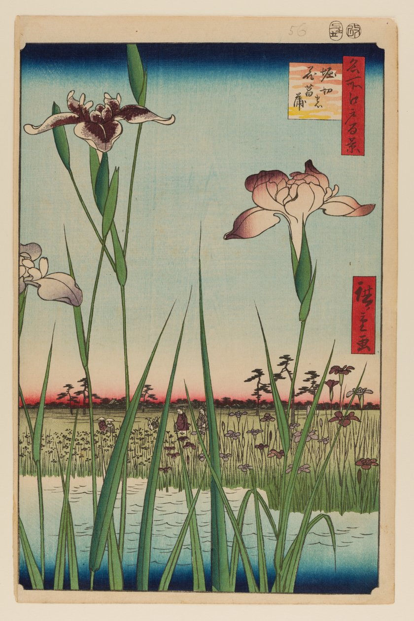 Horikirin iirispuutarha (Horikiri no Hanashobu) tekijältä Ando or Utagawa Hiroshige