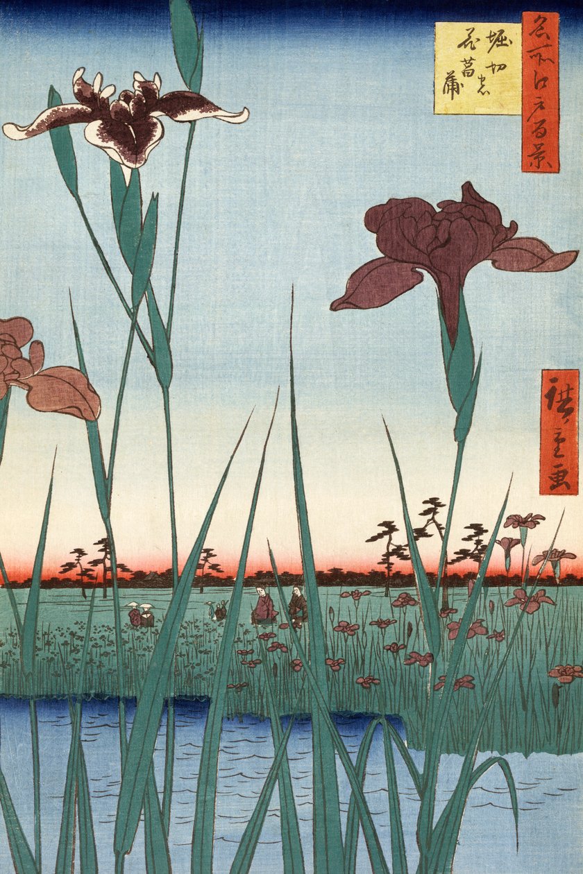 Utagawa Hiroshigen Horikiri Iris tekijältä Ando or Utagawa Hiroshige