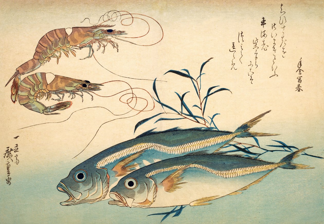 Japanilainen piikkimakrilli ja japanilainen tiikerikatkarapu (värillinen puupainatus) tekijältä Ando or Utagawa Hiroshige