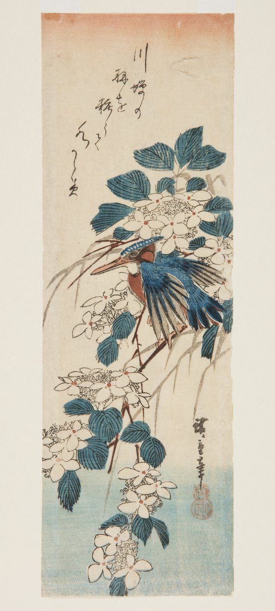 Kingfisher ja Viburnum (värillinen puupalikkaprintti) tekijältä Ando or Utagawa Hiroshige