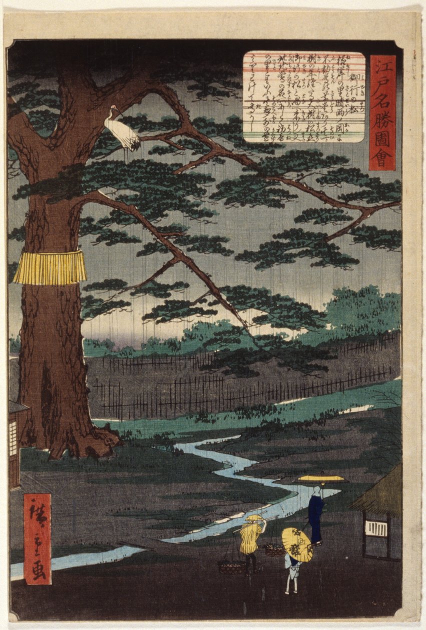 Miyuki Pine (värillinen puupainatus) tekijältä Ando or Utagawa Hiroshige