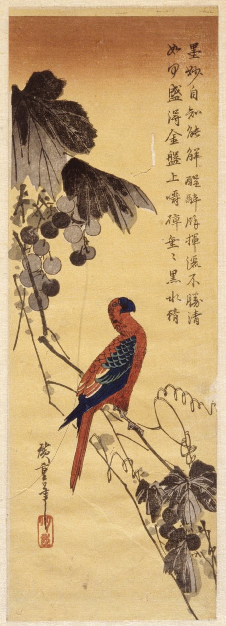 Papukaija ja viiniköynnökset (värillinen puupalikkaprintti) tekijältä Ando or Utagawa Hiroshige