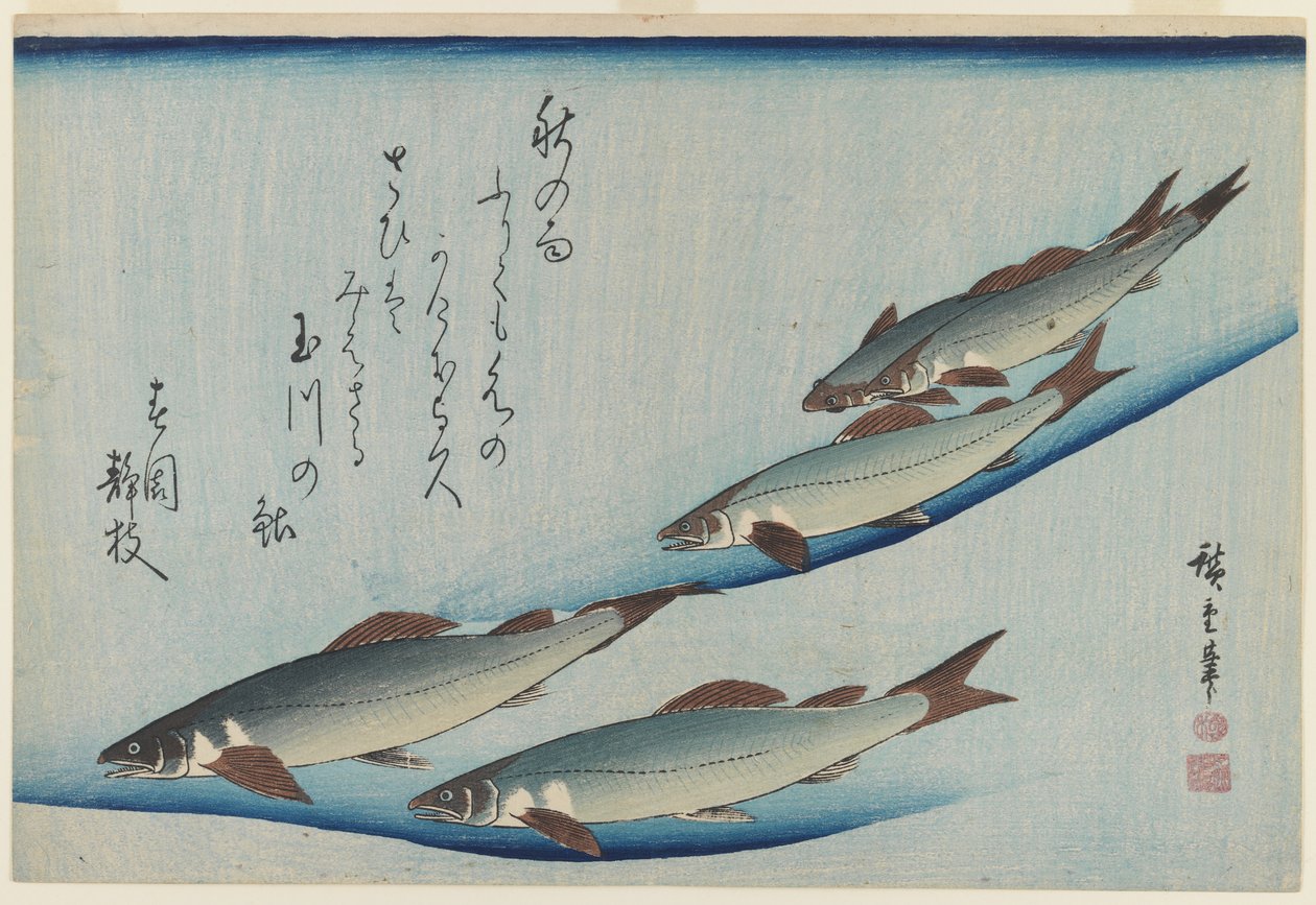 Viiden meritaimenen koulu, Edo-kausi (värillinen puupainatus paperille) tekijältä Ando or Utagawa Hiroshige