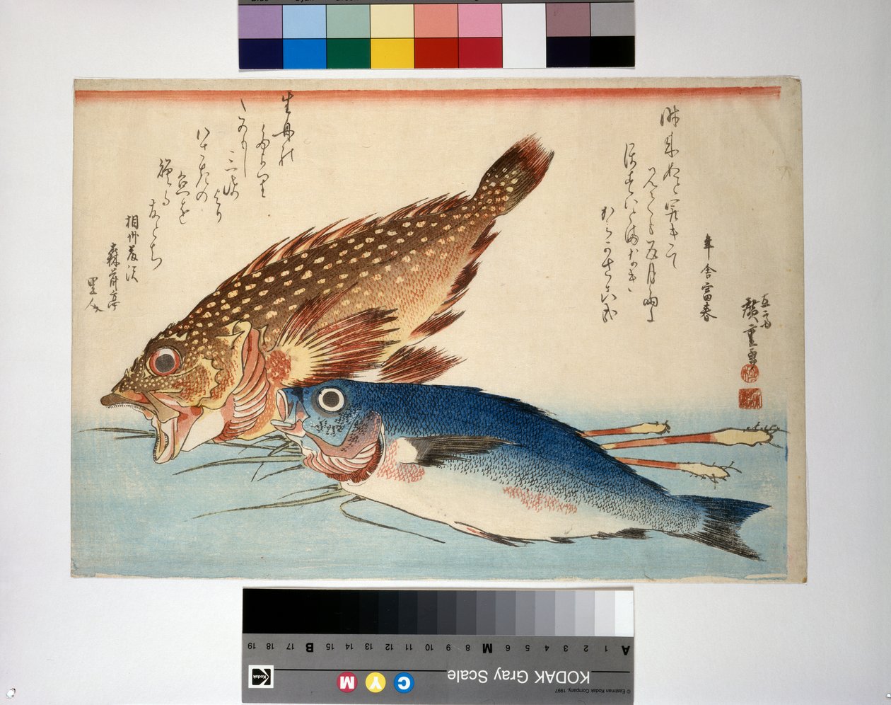Skorpionikalaa ja isaki-kalaa inkiväärijuuren kanssa tekijältä Ando or Utagawa Hiroshige