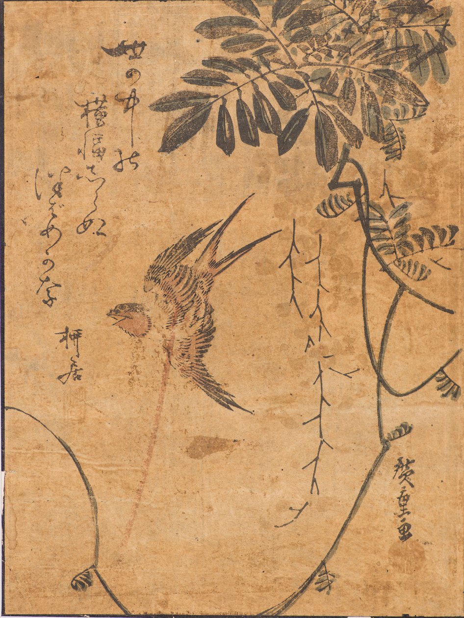 Lentävän linnun ja kasvien tutkimus tekijältä Ando or Utagawa Hiroshige