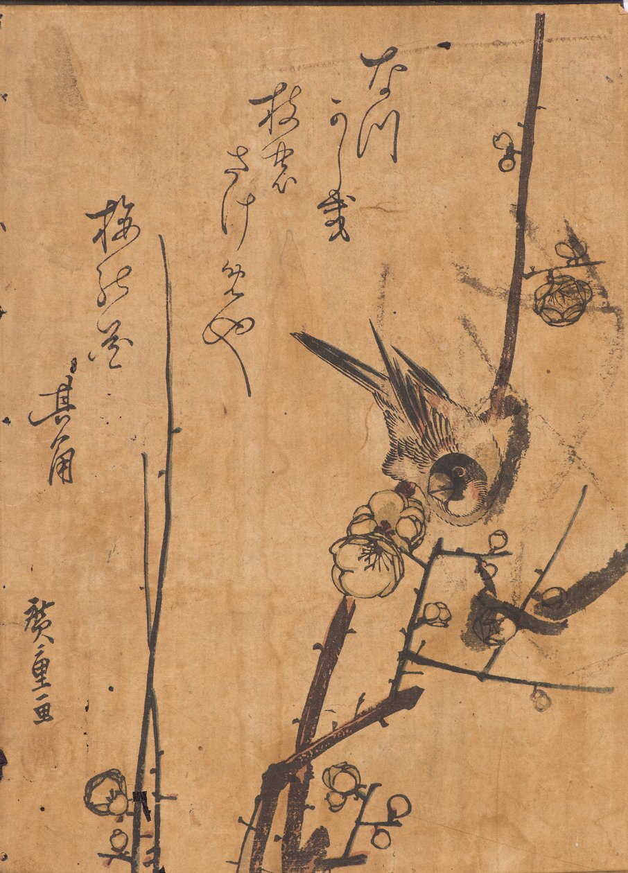 Tutkimus linnusta kyydissä oksalla tekijältä Ando or Utagawa Hiroshige