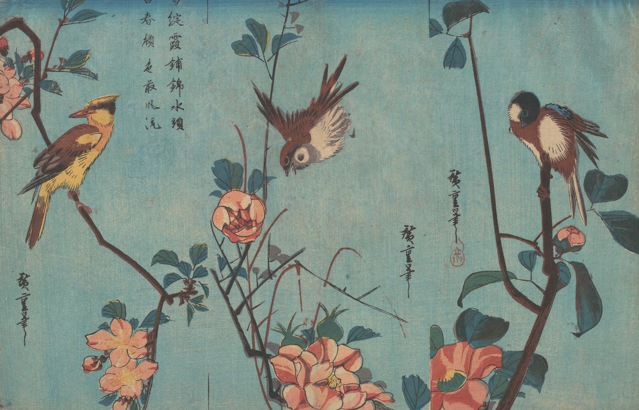 Tiainen ja kameliat, varpunen ja villiruusut ja mustanaped oriole ja kirsikankukat, n. 1833 (puupainatus) tekijältä Ando or Utagawa Hiroshige