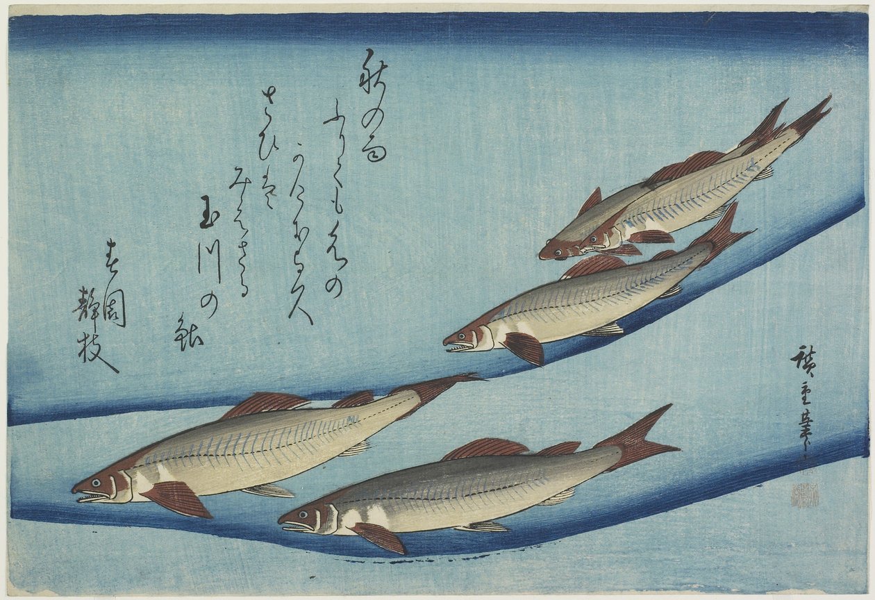Taimen tekijältä Ando or Utagawa Hiroshige