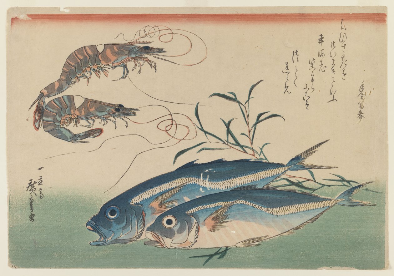 Kaksi katkarapua ja kaksi piikkimakrillia, n. 1832-33 (värillinen puupalikka paperilla) tekijältä Ando or Utagawa Hiroshige