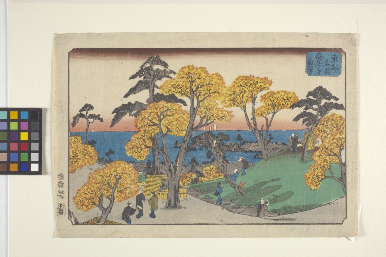 Views Of Yedo (värillinen puupainatus) tekijältä Ando or Utagawa Hiroshige