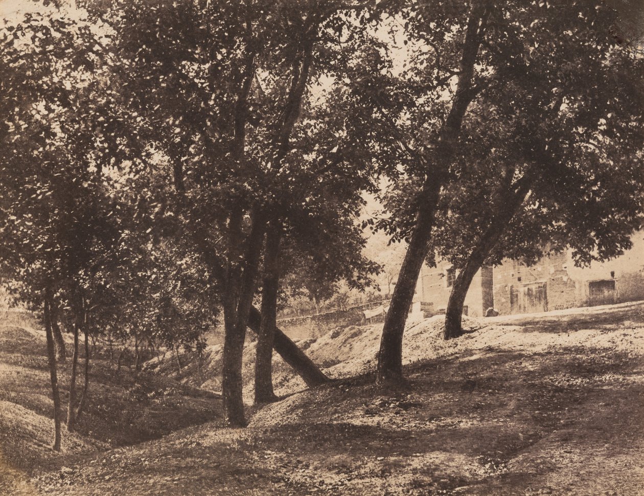 Puut, c. 1855. tekijältä André Giroux