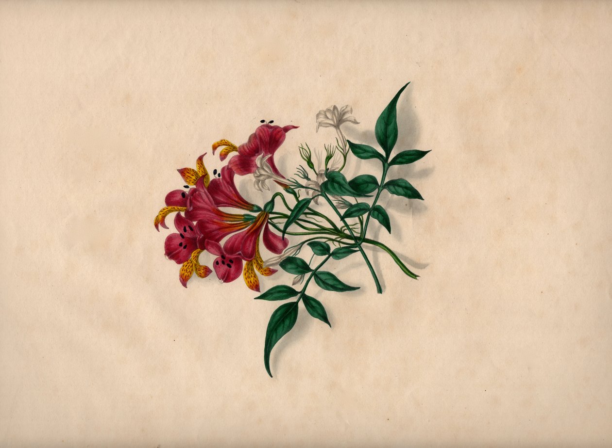  tekijältä André Limot