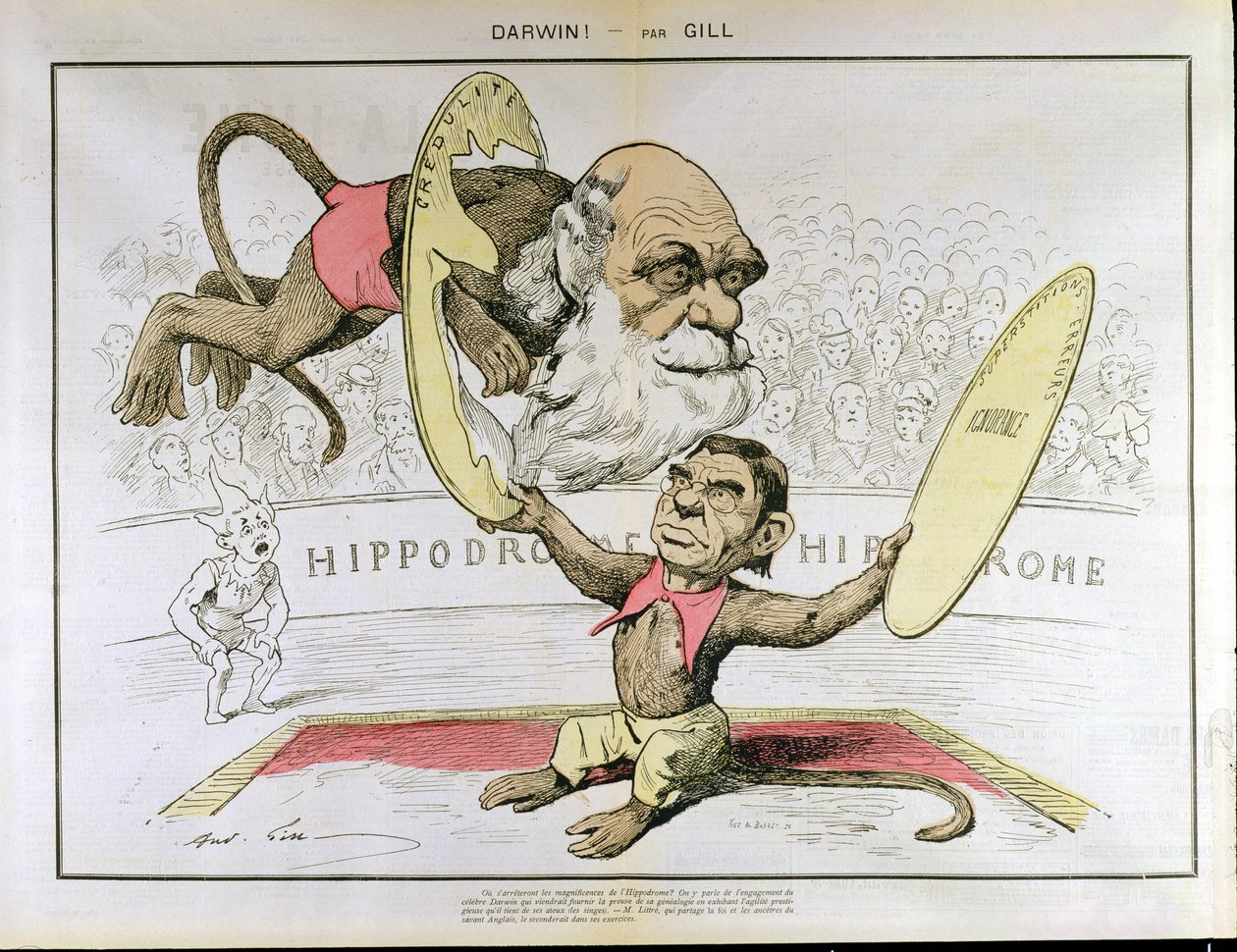 Charles Darwinin (1809-1882) ja Emile Littren (1801-1881) karikatyyri, jossa heidät kuvataan sirkuksessa esiintyvinä apinoina. tekijältä Andre Gill