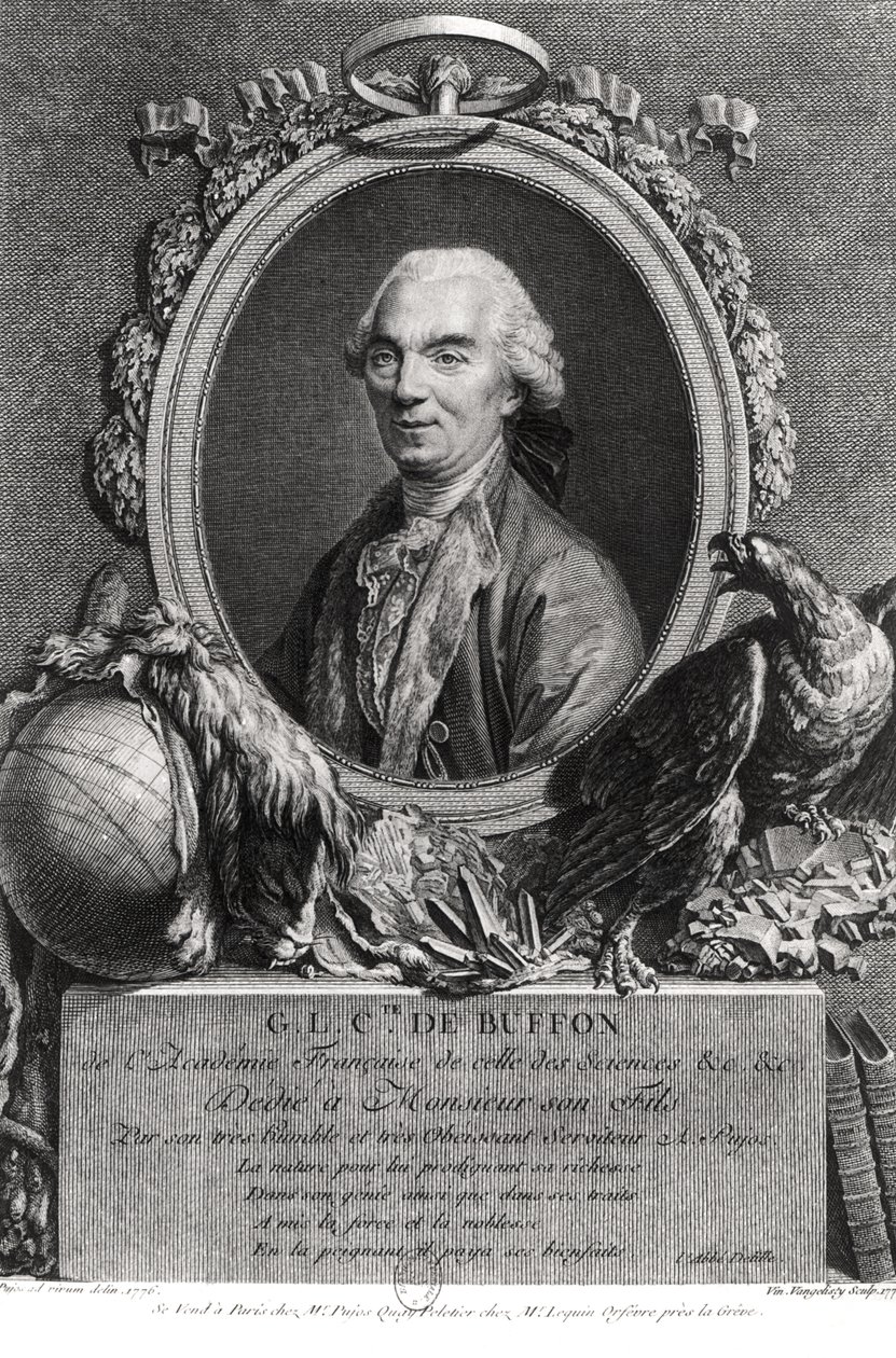 Georges-Louis Leclerc (1707-88) Buffonin kreivi, kaiverrus Vincenzo Vangelisti (1738-98) 1777 tekijältä Andre Pujos