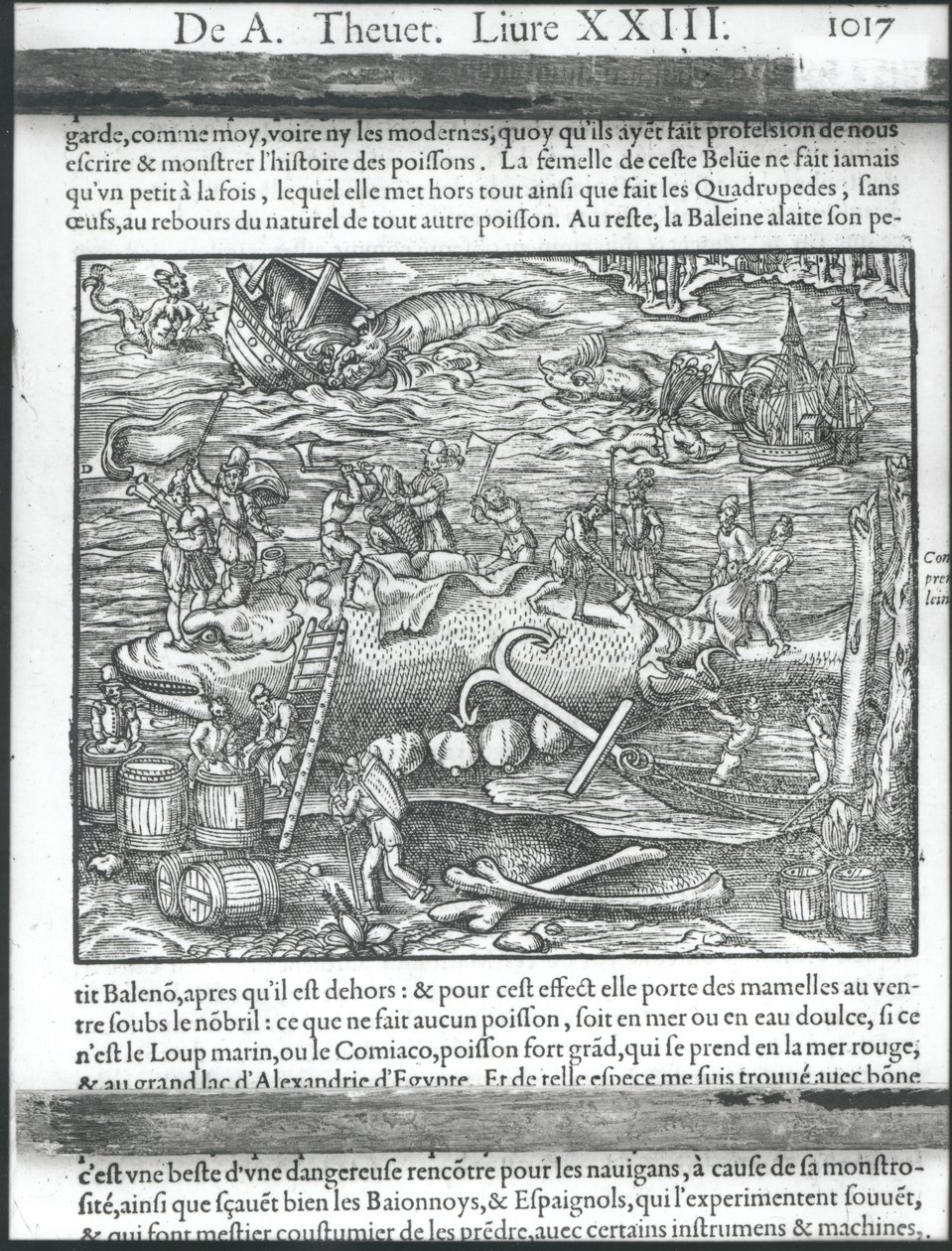 Valaan yhdistäminen, Andre Thevetin teoksesta Cosmographie universelle, 1575 tekijältä Andre Thevet