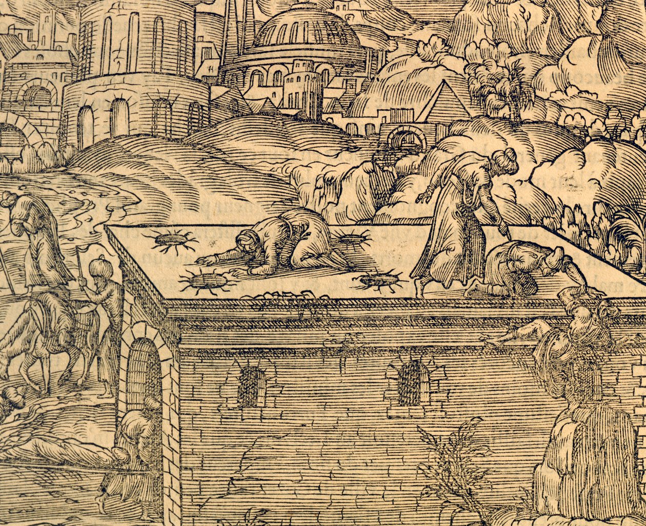 Acheldemachin kristillinen hautausmaa, kaiverrus Cosmographie universellesta, Andre Thevet (1504-1592), Pariisi tekijältä Andre Thevet
