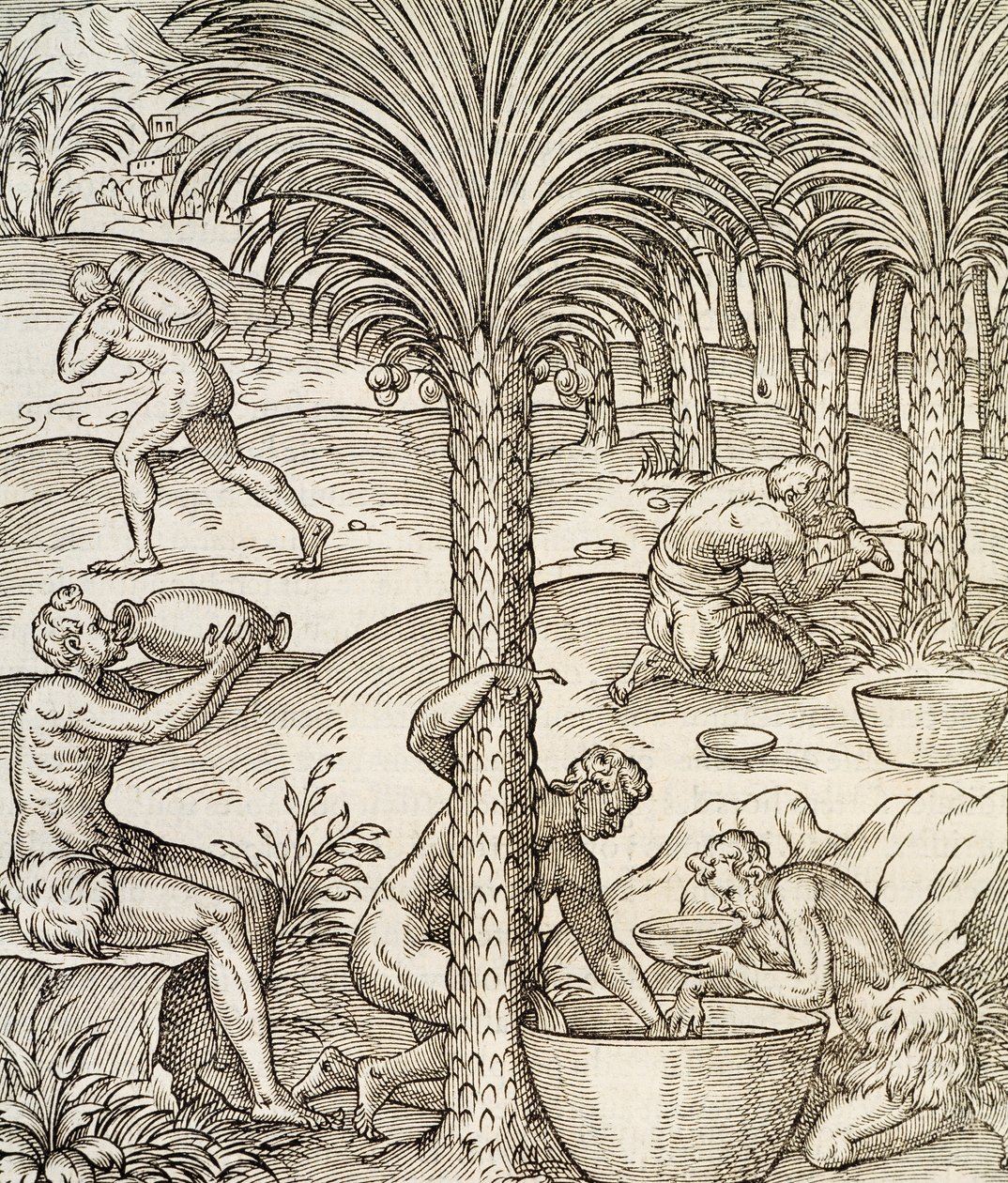 Kap Verden asukkaat valmistavat juomia palmuista, kaiverrus Universal Cosmologysta, Andre Thevet (1504-1592), Pariisi, Afrikka, 1575 tekijältä Andre Thevet