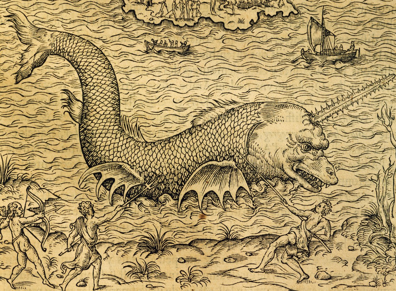 Merihirviö, kaiverrus Universal Cosmologysta, Andre Thevet (1504-1592), Pariisi tekijältä Andre Thevet
