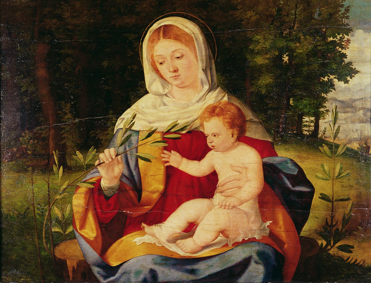 Neitsyt ja lapsi oliivin versolla, n. 1515 (öljy puulle) tekijältä Andrea Previtali