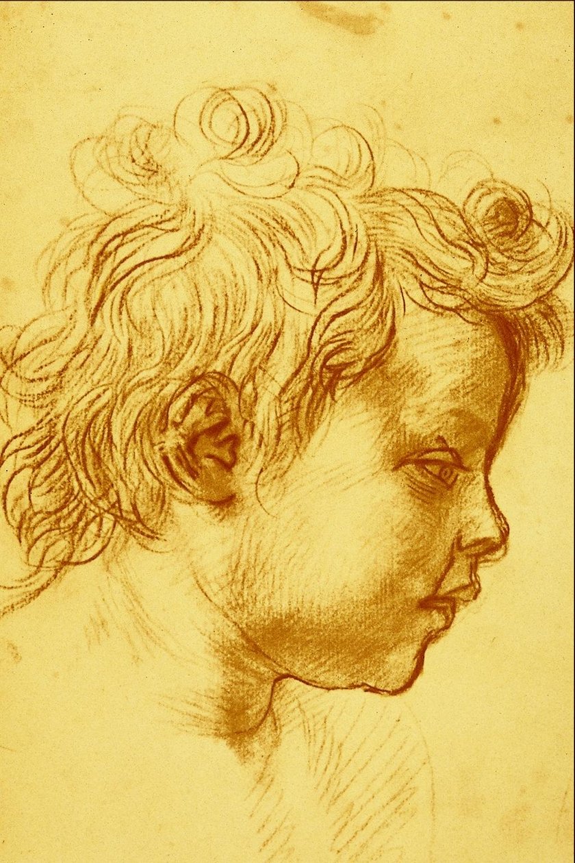 Andrea del Sarto tekijältä Andrea del Sarto