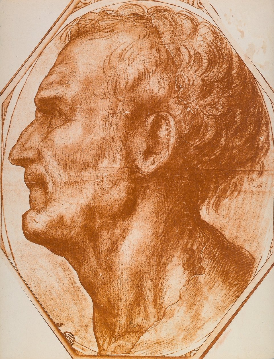 Miehen pään tutkimus; piirustus tekijältä Andrea del Sarto