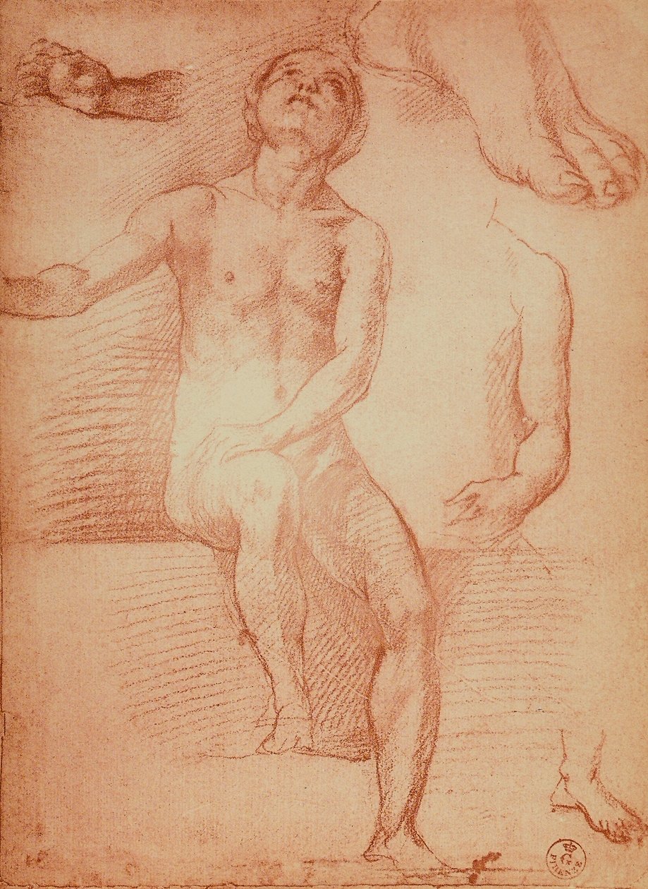 Tutkimus alastonhahmosta ja ihmisen raajoista, piirros Andrea del Sarto. Piirustus- ja grafiikkakaappi, Uffizi-galleria, Firenze tekijältä Andrea del Sarto
