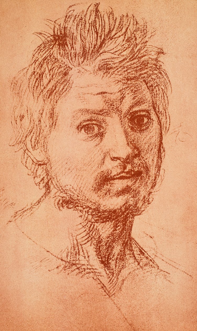 Viriili pää tekijältä Andrea del Sarto