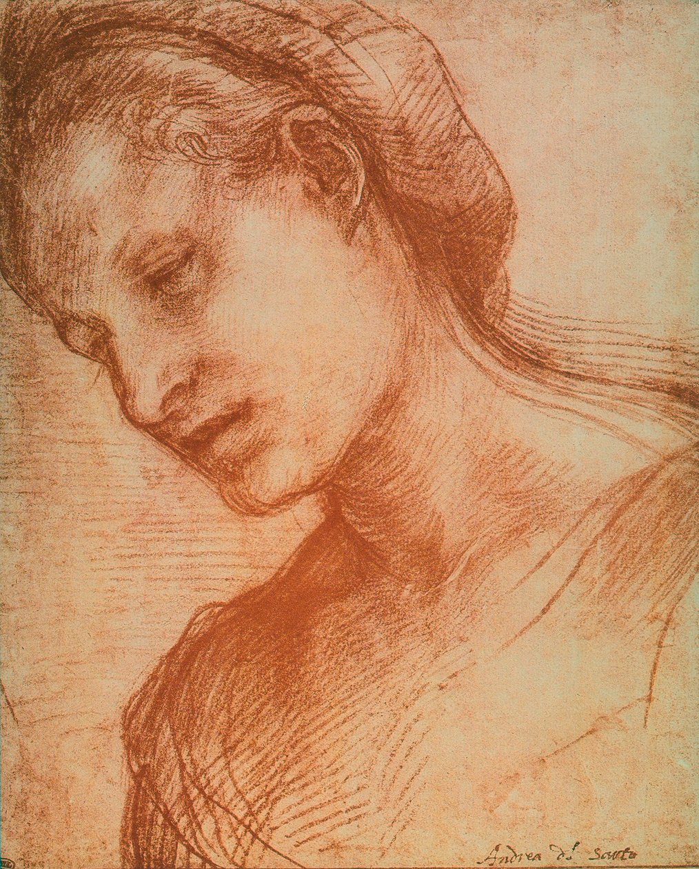 Naisen pää tekijältä Andrea del Sarto