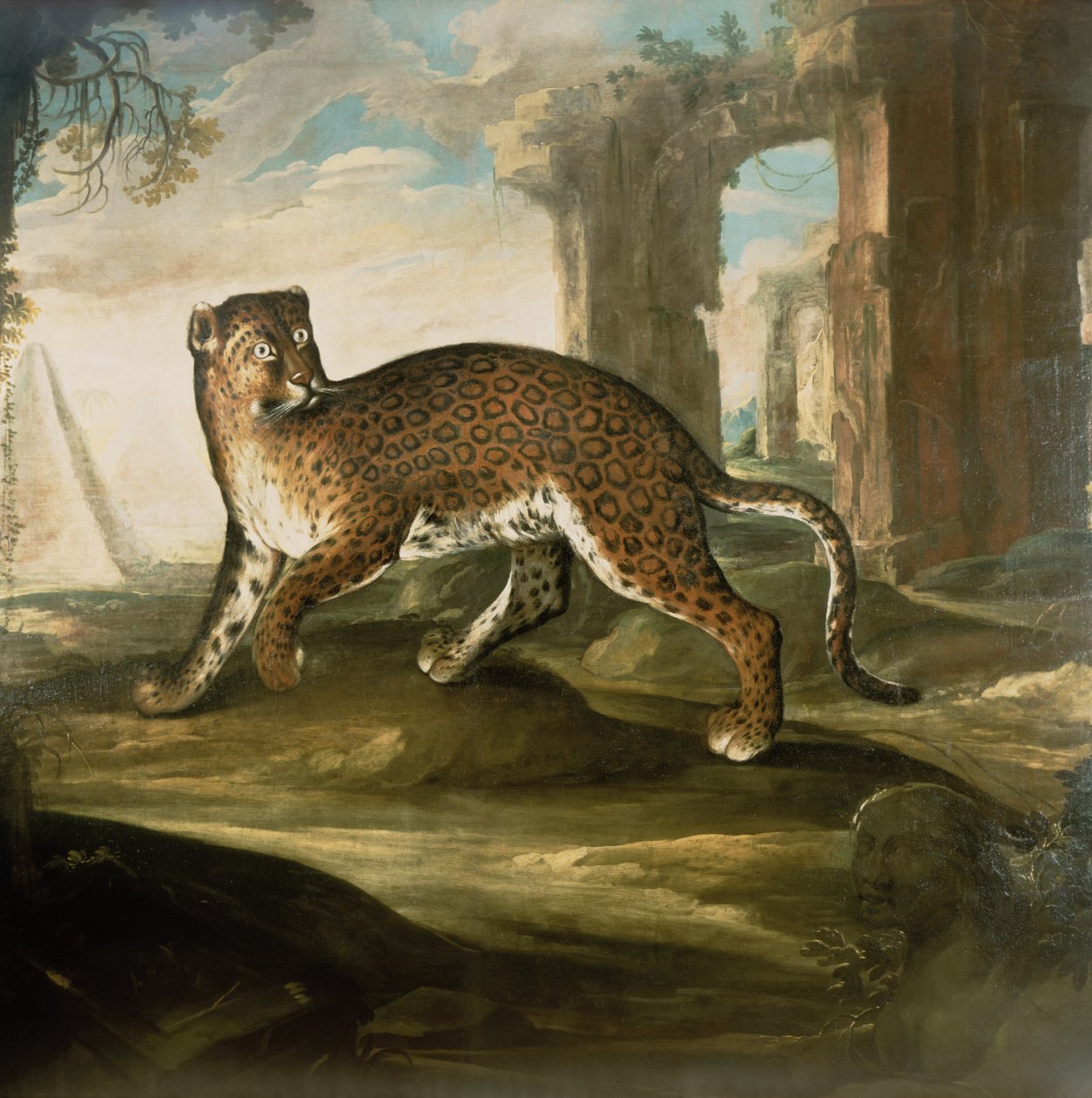 Jaguariin tekijältä Andrea the Elder Scacciati