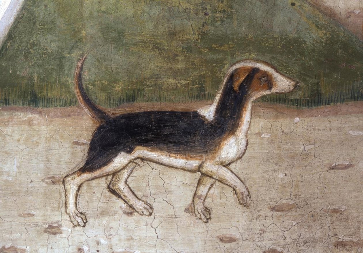 Atri, Dom, Hund / Fresko von A.Delitio tekijältä Andrea Delitio