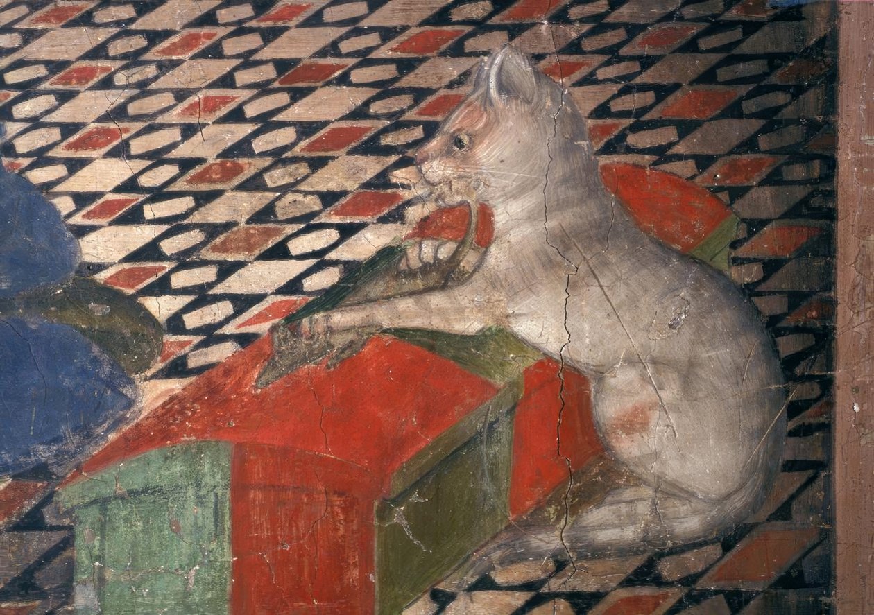 Atri, Dom, Katze / A.Delitio tekijältä Andrea Delitio