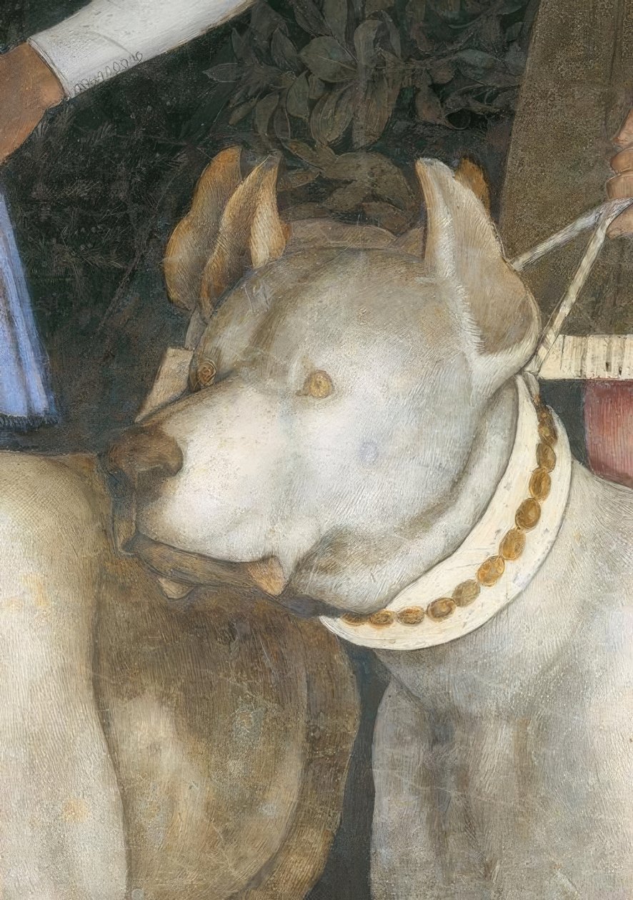 Aloitus zwischen Markgraf Lodovico III. Gonzaga mit seine tekijältä Andrea Mantegna
