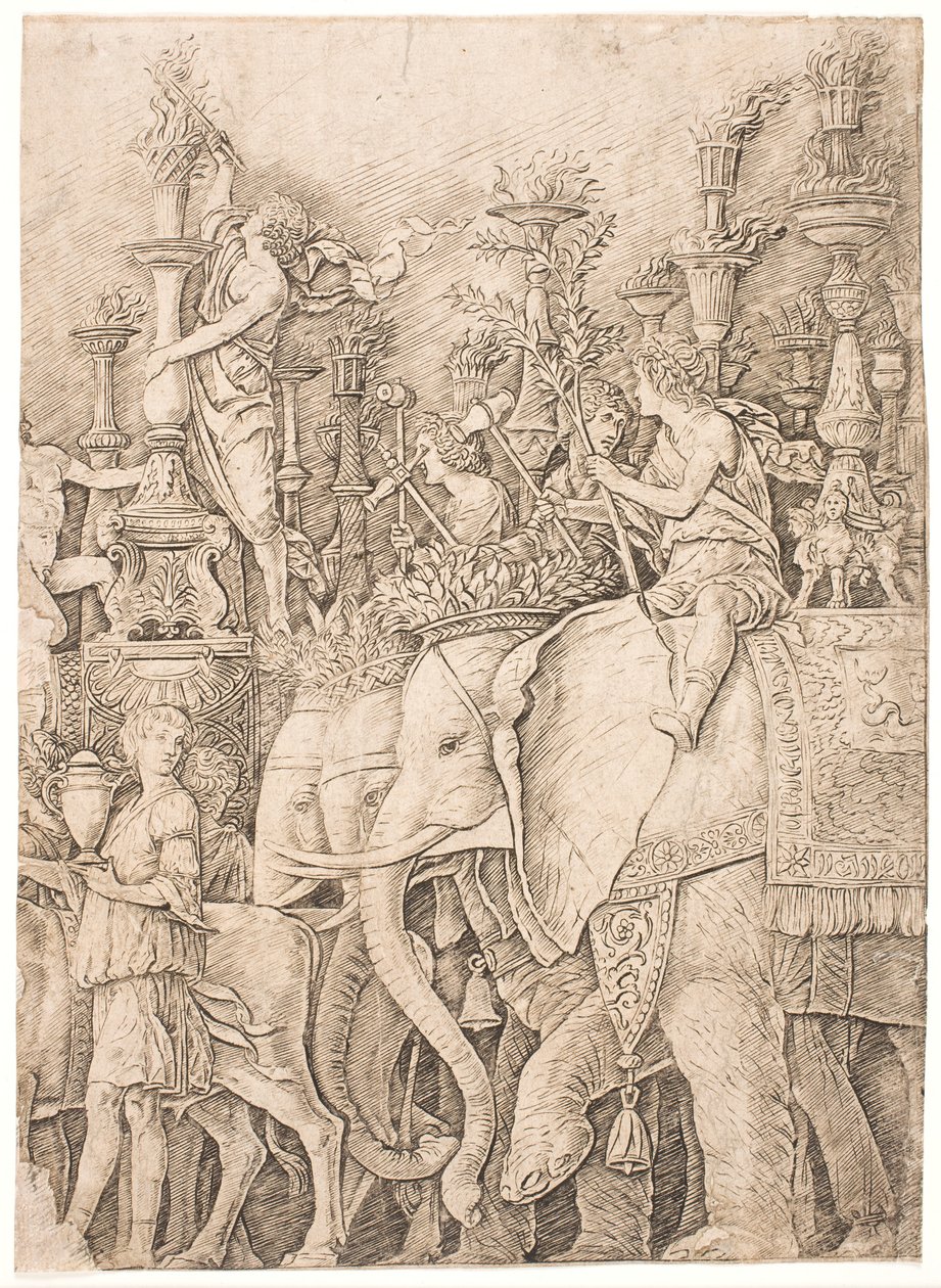 Norsuja kantamassa taskulamppuja tekijältä Andrea Mantegna
