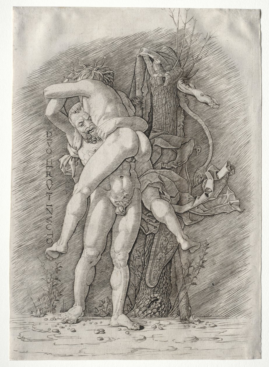 Herkules ja Antaeus, 1400-luku. tekijältä Andrea Mantegna