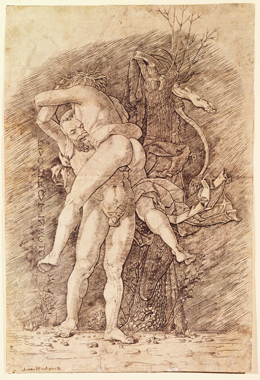 Hercules ja Antaeus, Andrea Mantegna (1431-1506), piirustus. tekijältä Andrea Mantegna