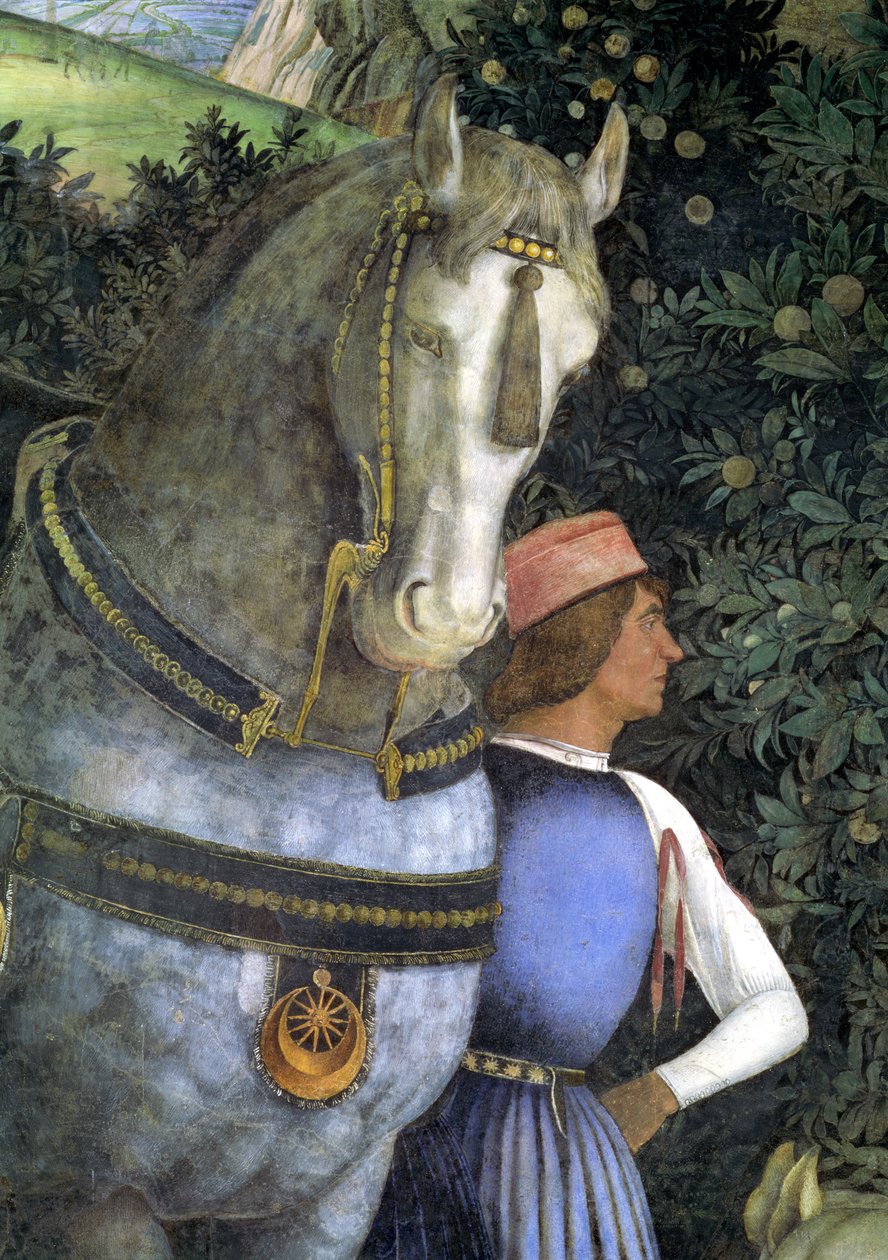 Hevonen ja sulhanen, Camera degli Sposi tai Camera Picta, 1465-74, fresko, kuva 78449:stä. tekijältä Andrea Mantegna