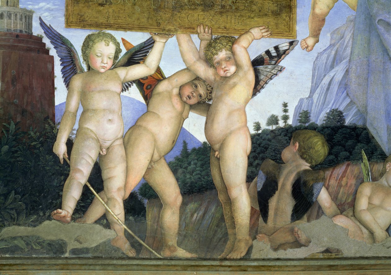 Putti perhosen siipineen kannattelemassa vihkiäislaattaa, Camera degli Sposi tai Camera Picta, 1465-74, fresko, kuva 78449, yksityiskohta tekijältä Andrea Mantegna