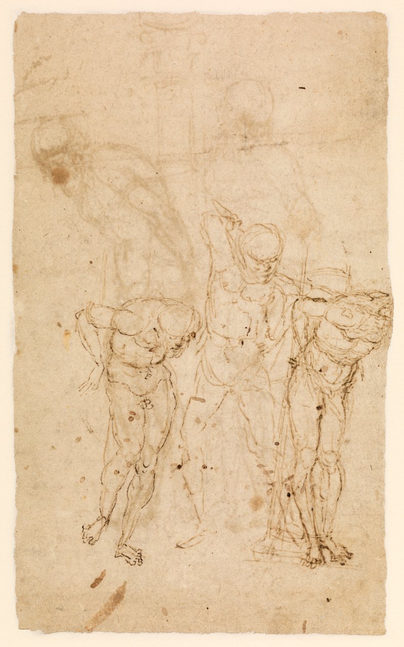 Studies for Christ at the Column (verso), n.1460-65 (kynä ja muste paperille) [katso myös 5934515] tekijältä Andrea Mantegna