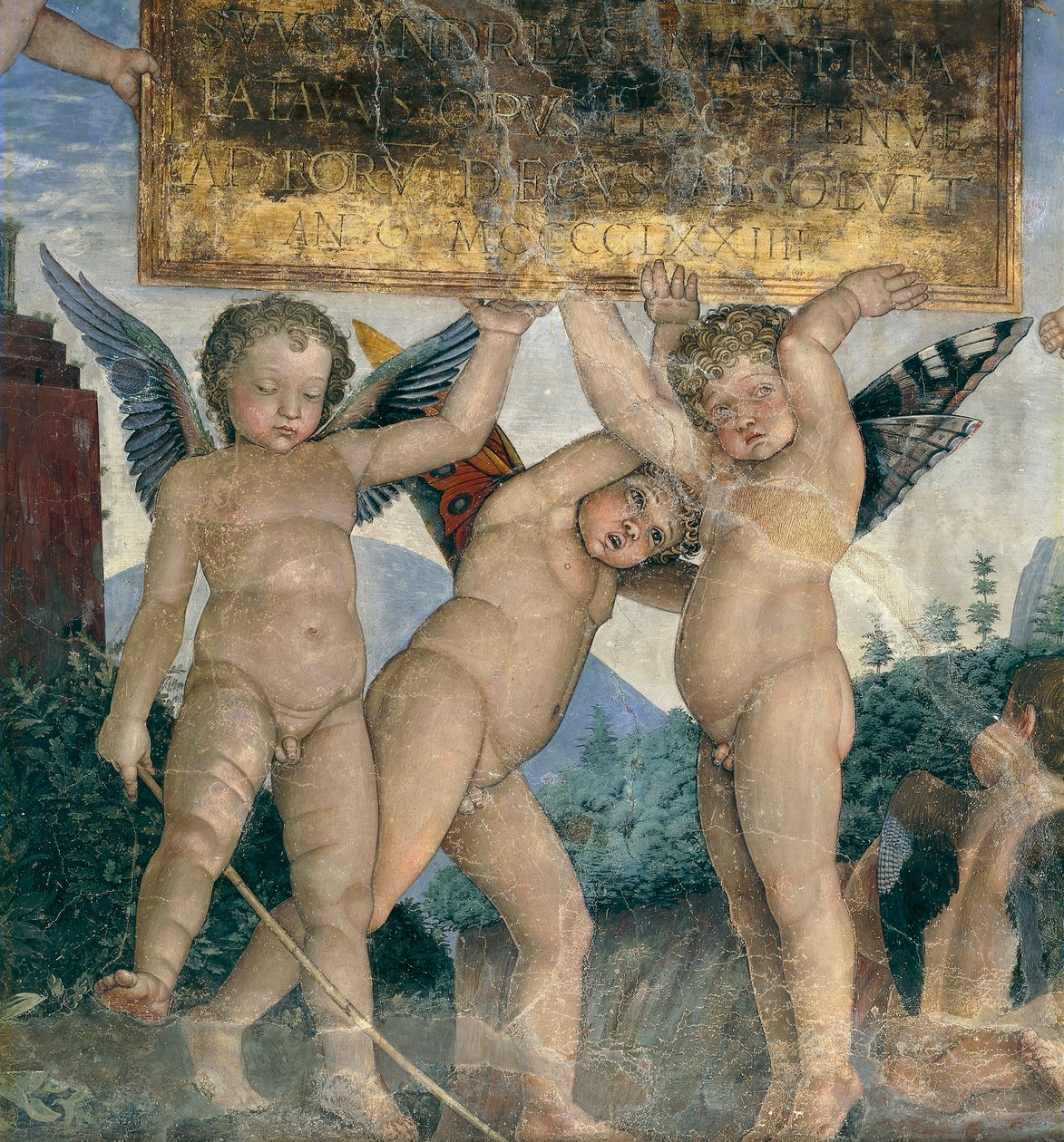Siivekäs kerubit pitelemässä vihkimislaatta, yksityiskohta kokousseinästä tekijältä Andrea Mantegna